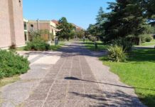 Reforma laboral: los gremios universitarios destacan la adhesión al paro, pero lamentan la media sanción